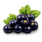 Estratto di ribes nero