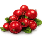 Estratto di mirtillo rosso